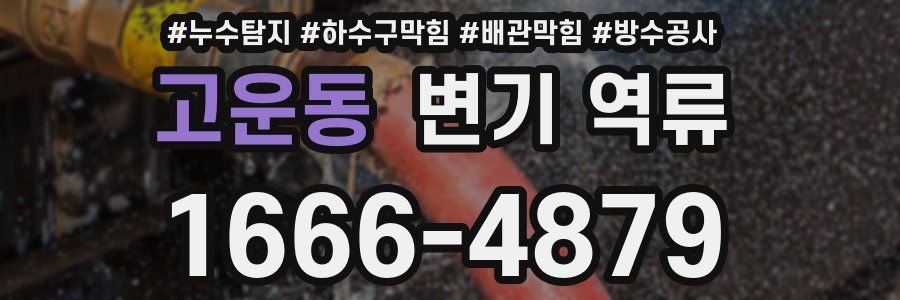 고운동 변기 역류