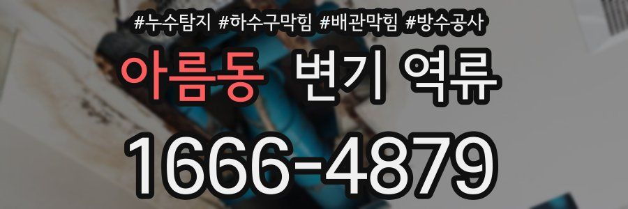 아름동 변기 역류