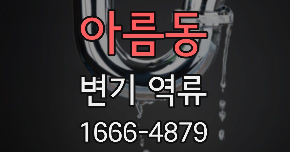 아름동 변기 역류