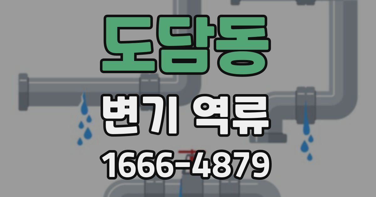 도담동 변기 역류