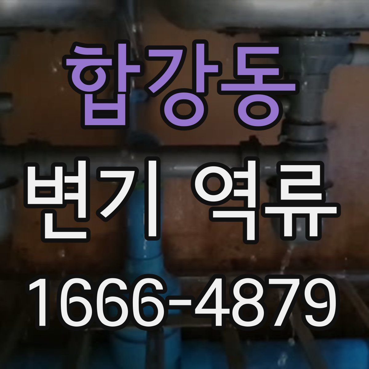 합강동 변기 역류