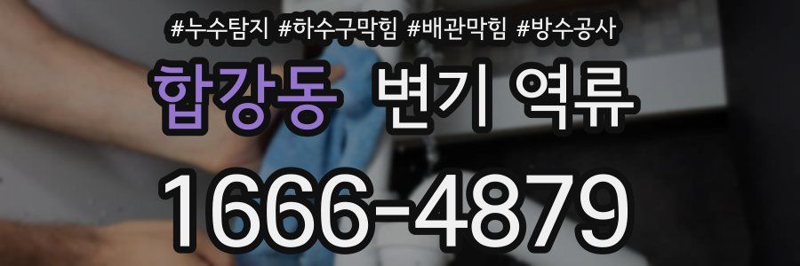 합강동 변기 역류