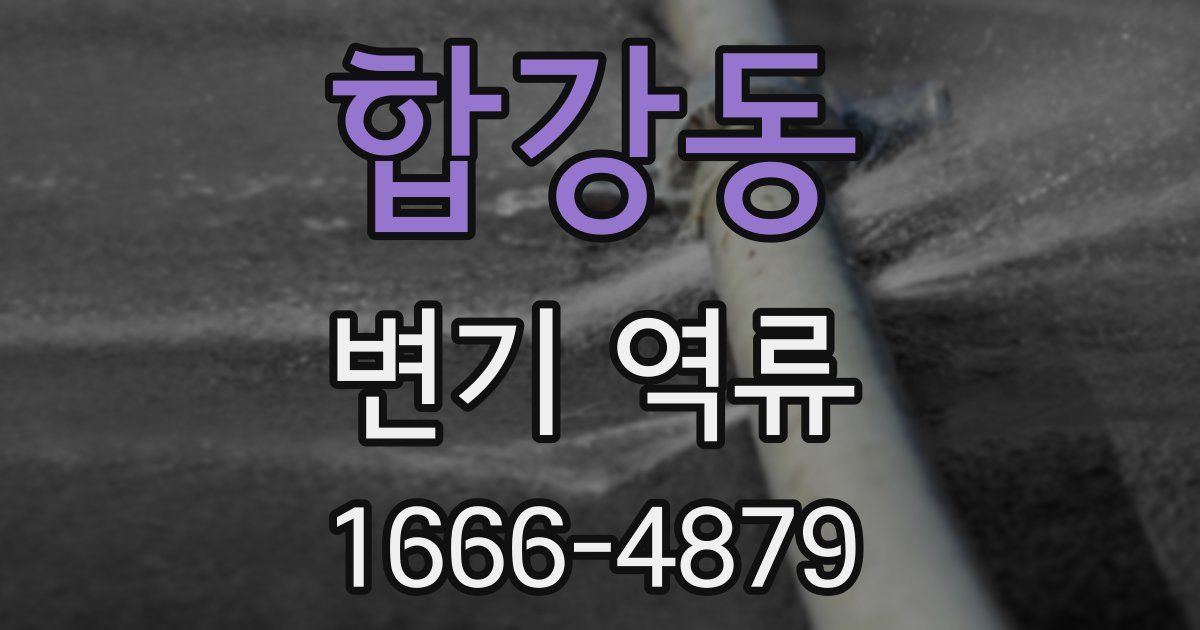 합강동 변기 역류