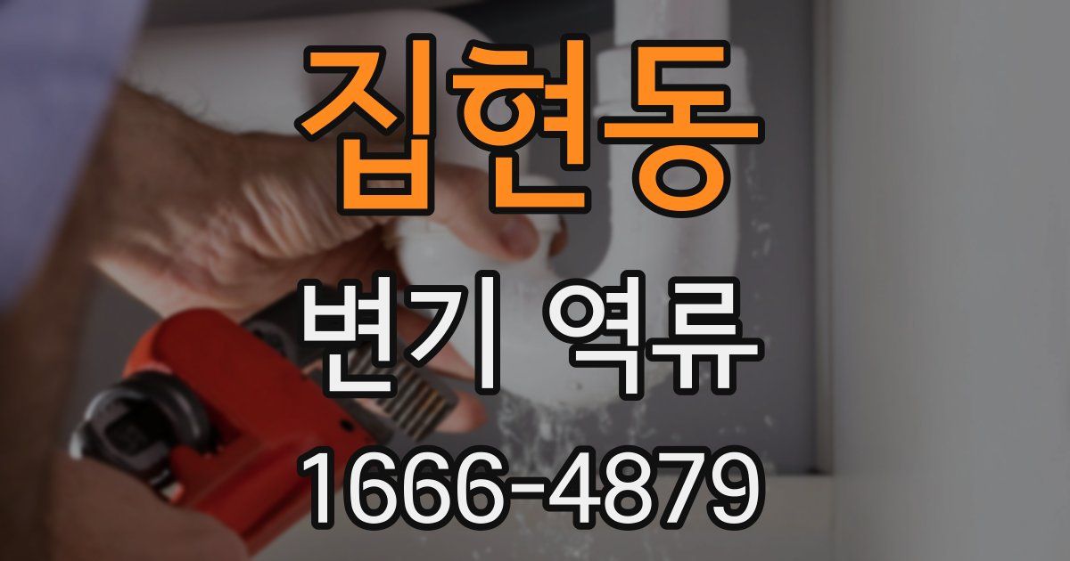 집현동 변기 역류