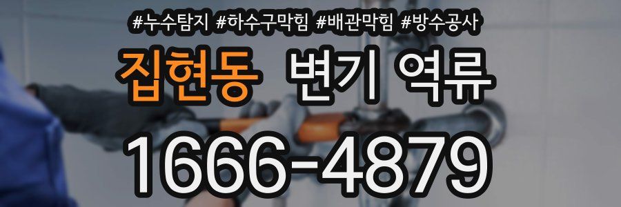 집현동 변기 역류