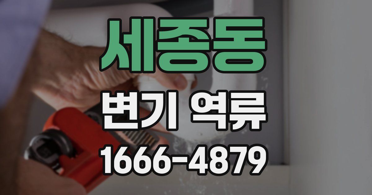 세종동 변기 역류