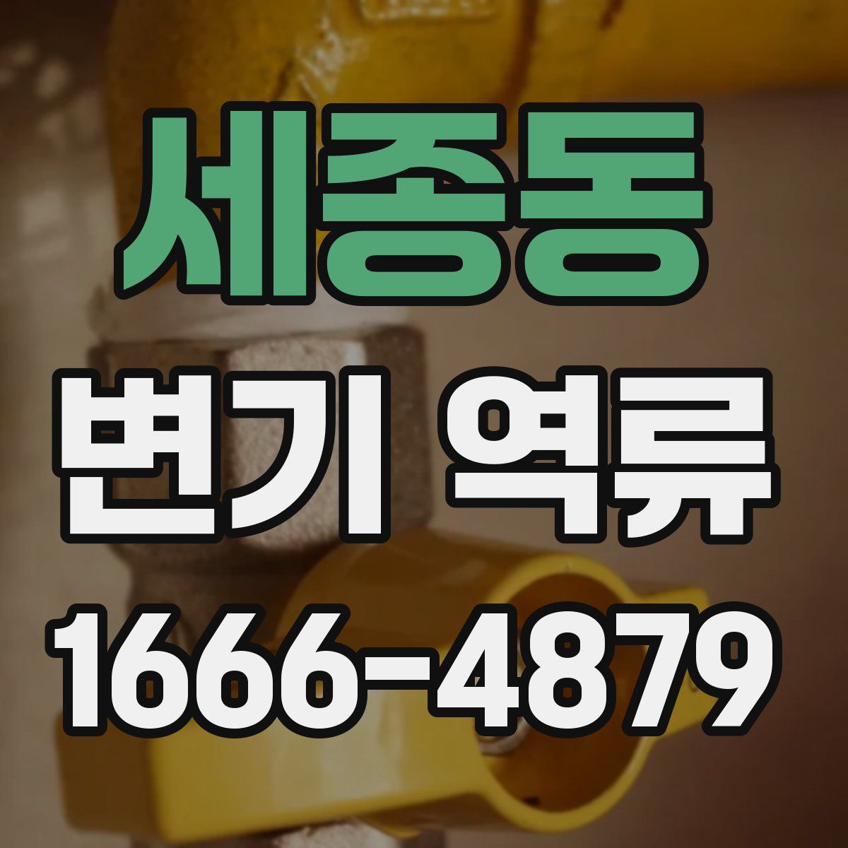 세종동 변기 역류