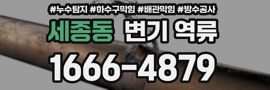 세종동 변기 역류