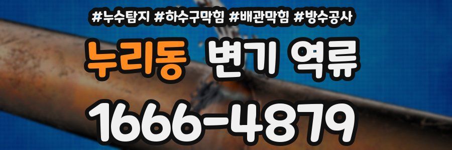 누리동 변기 역류
