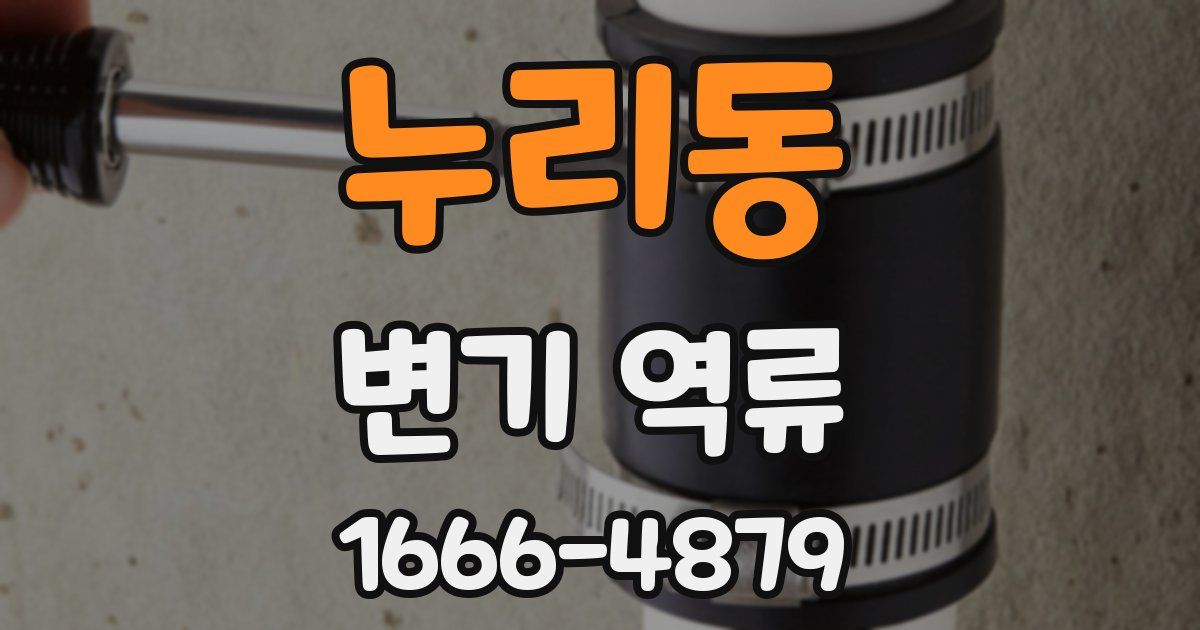 누리동 변기 역류