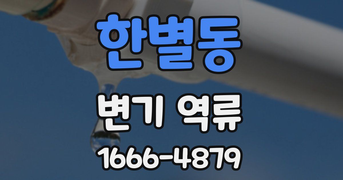 한별동 변기 역류