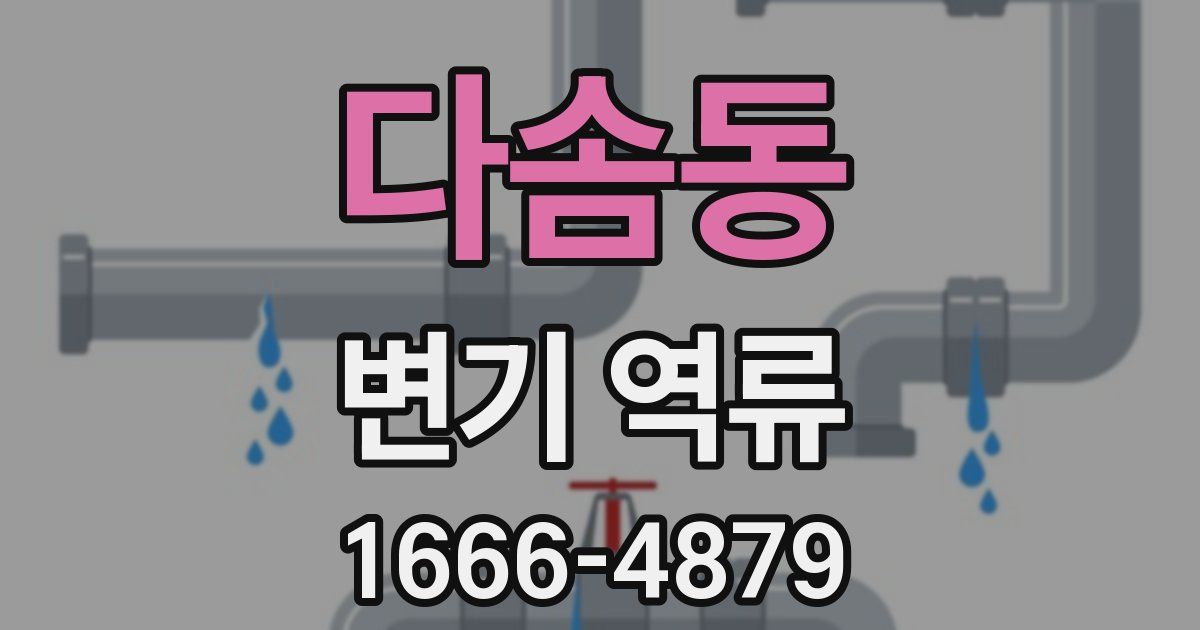 다솜동 변기 역류