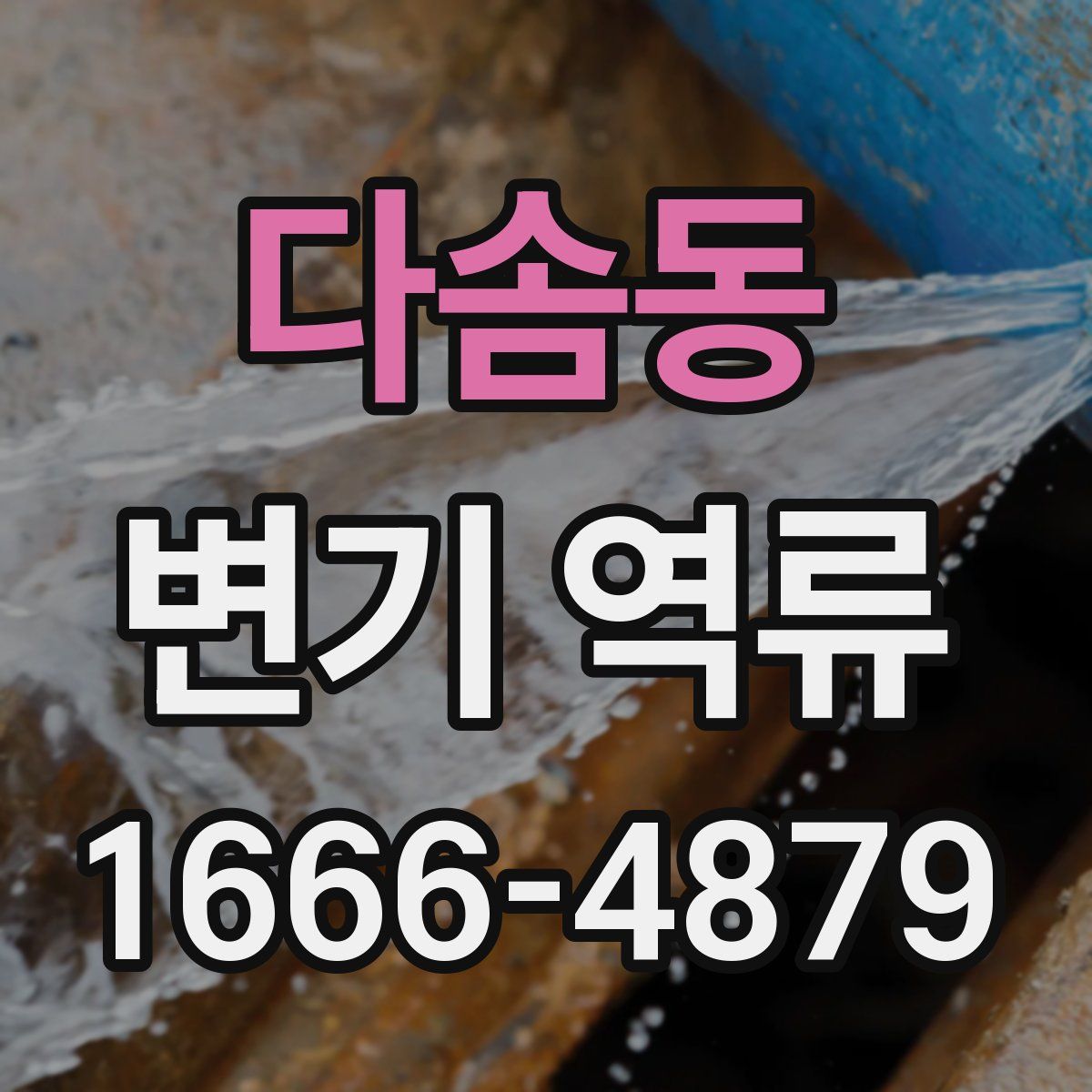 다솜동 변기 역류