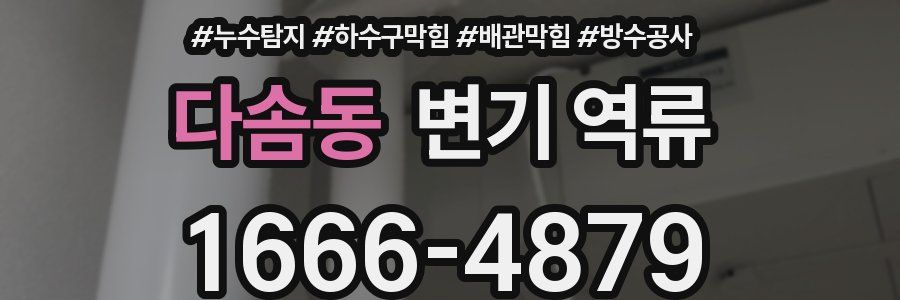 다솜동 변기 역류
