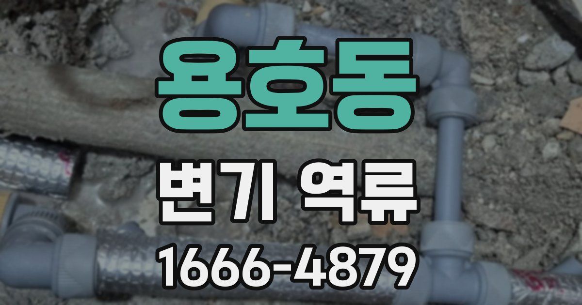 용호동 변기 역류