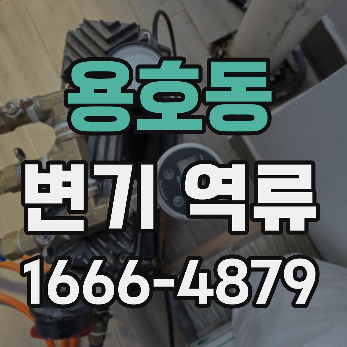 용호동 변기 역류