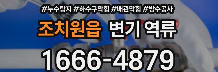 조치원읍 변기 역류