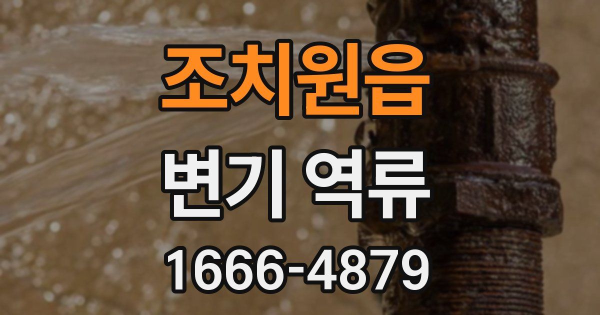 조치원읍 변기 역류