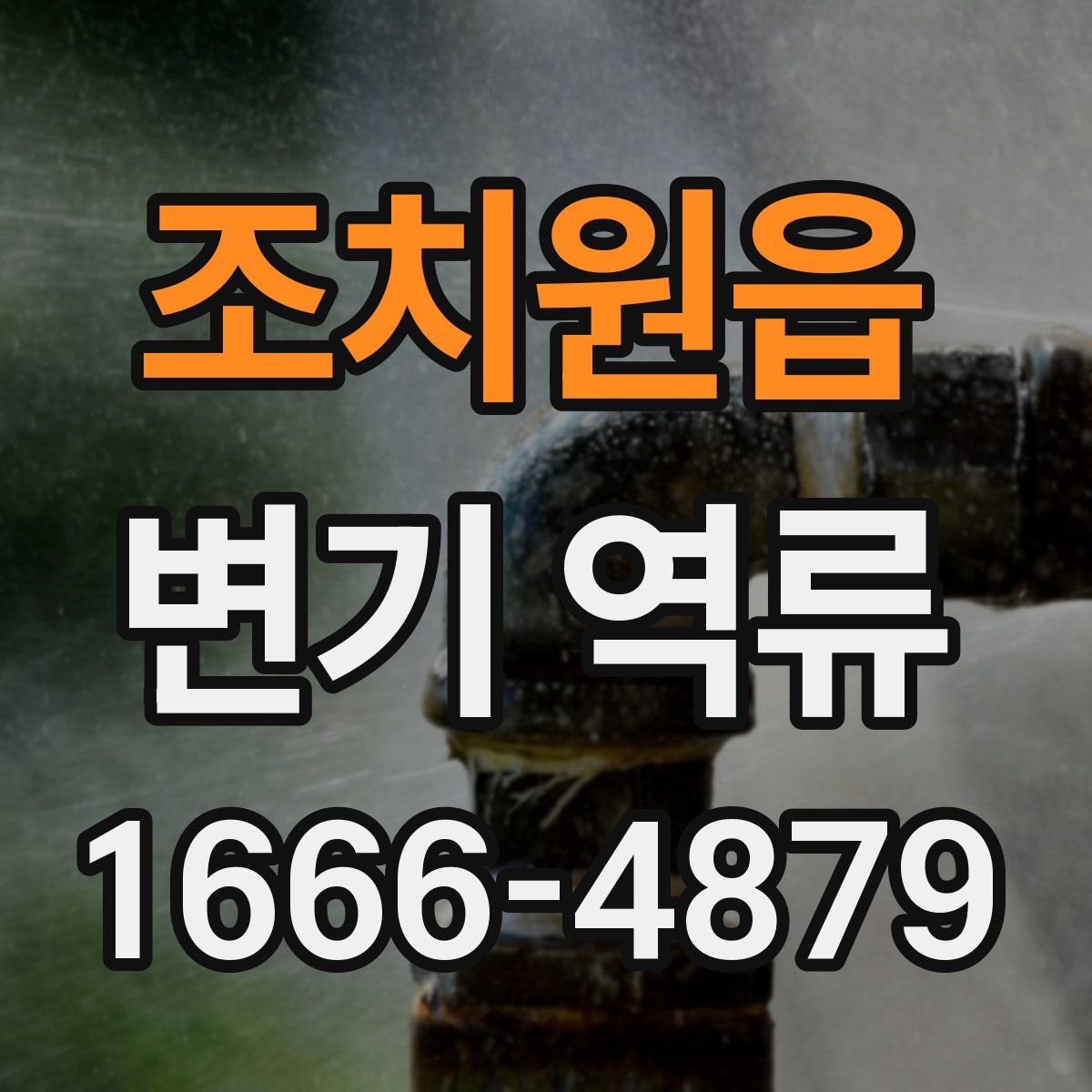 조치원읍 변기 역류