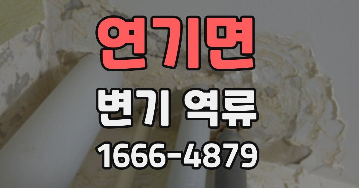 연기면 변기 역류