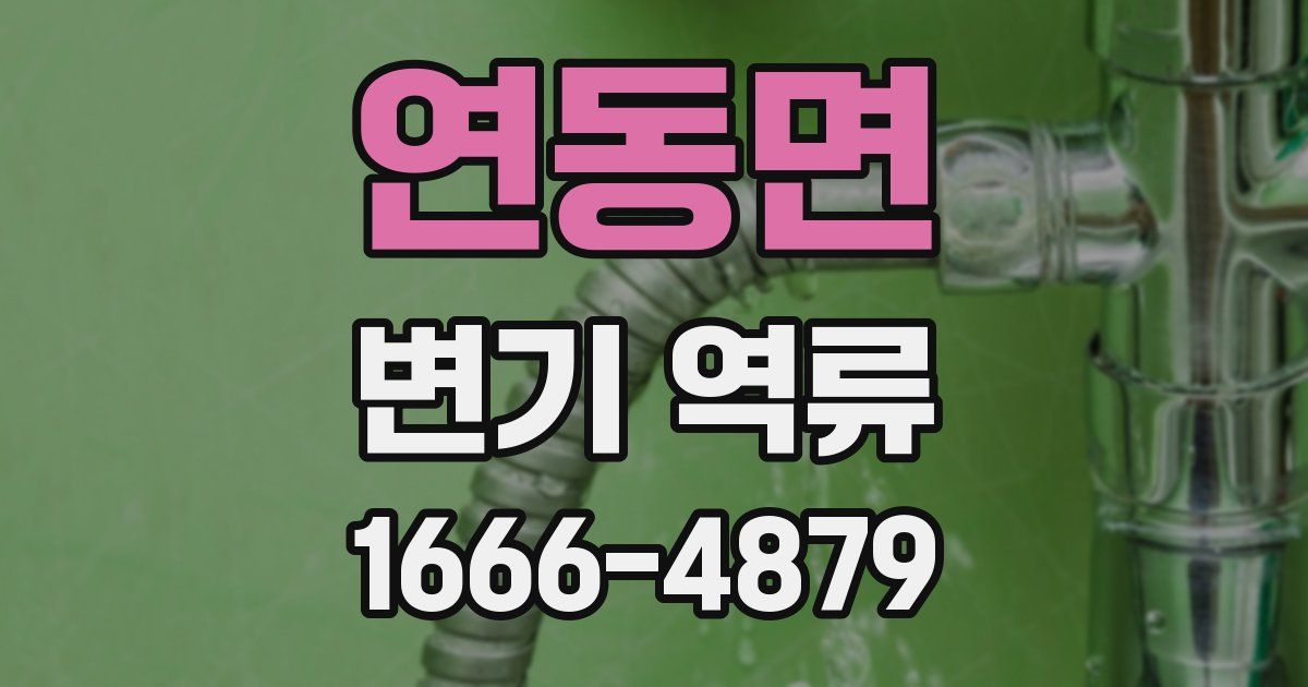 연동면 변기 역류