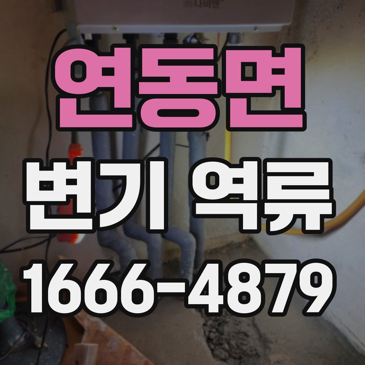 연동면 변기 역류