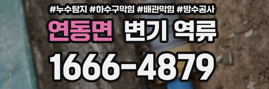 연동면 변기 역류