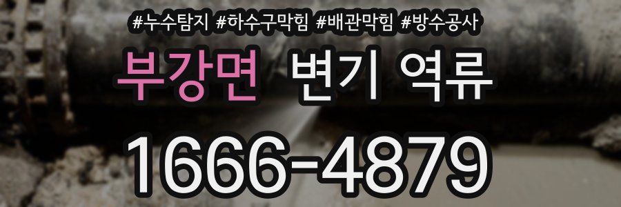 부강면 변기 역류