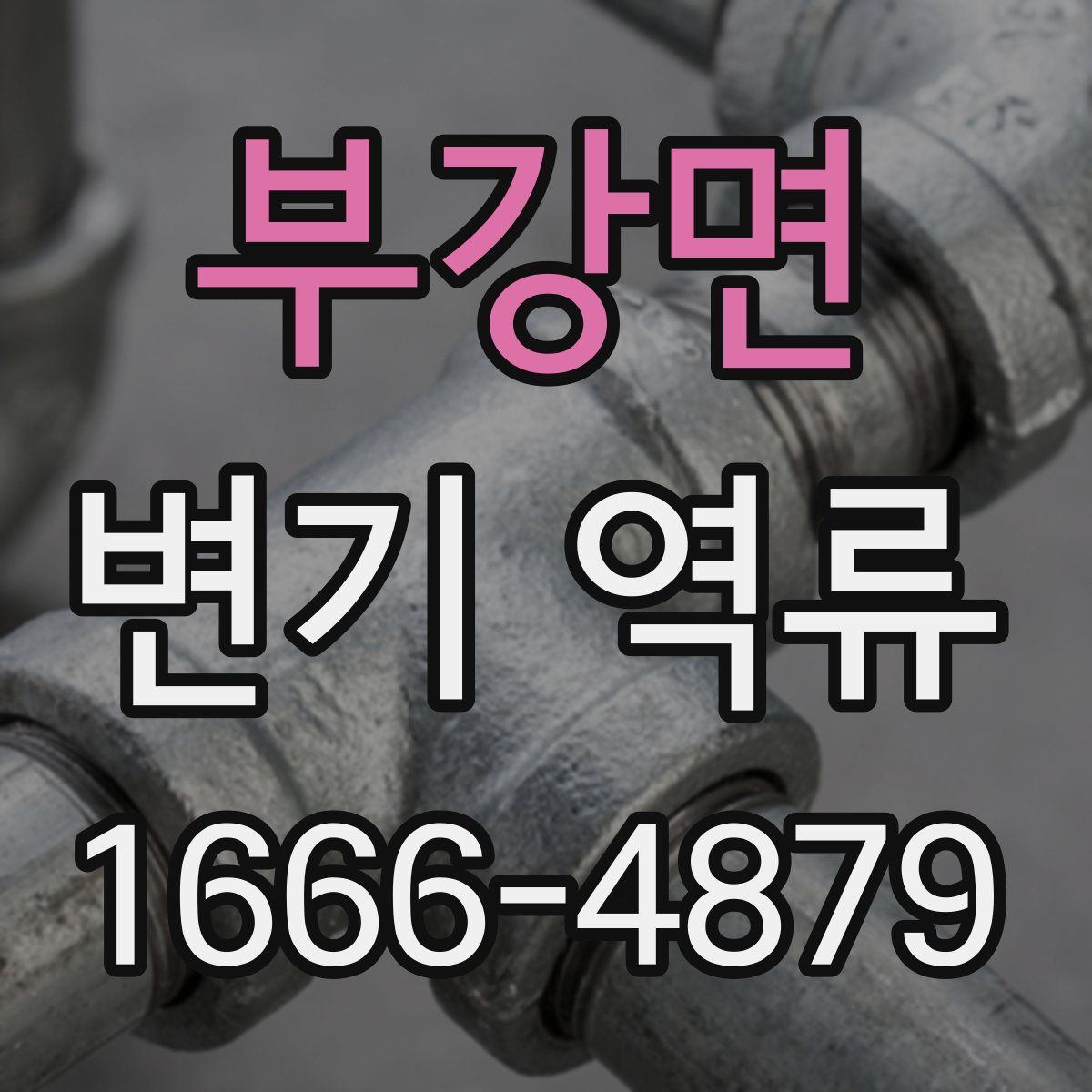 부강면 변기 역류