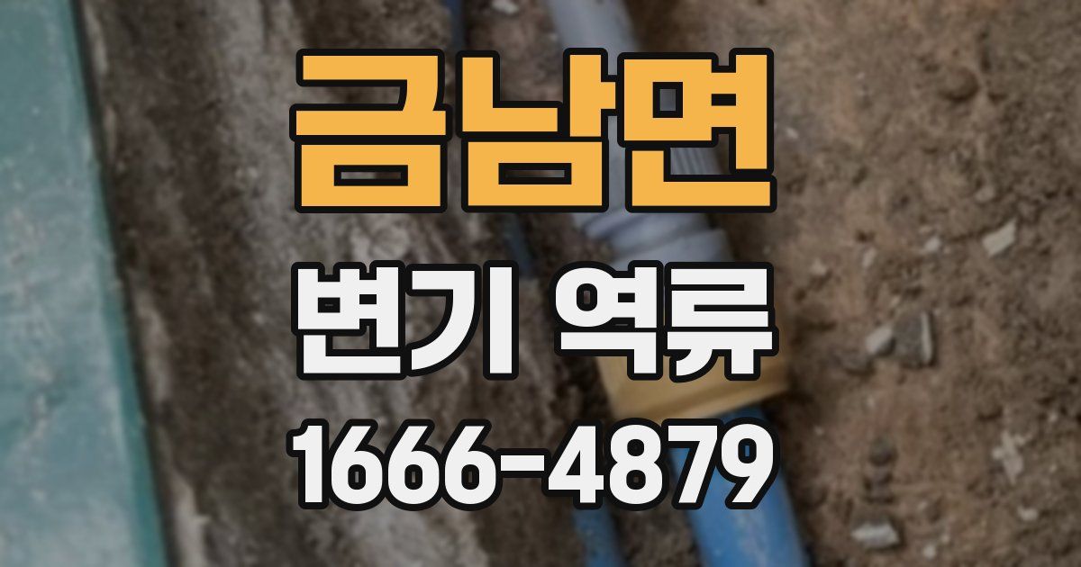 금남면 변기 역류