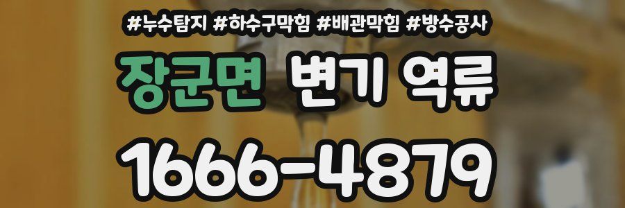 장군면 변기 역류