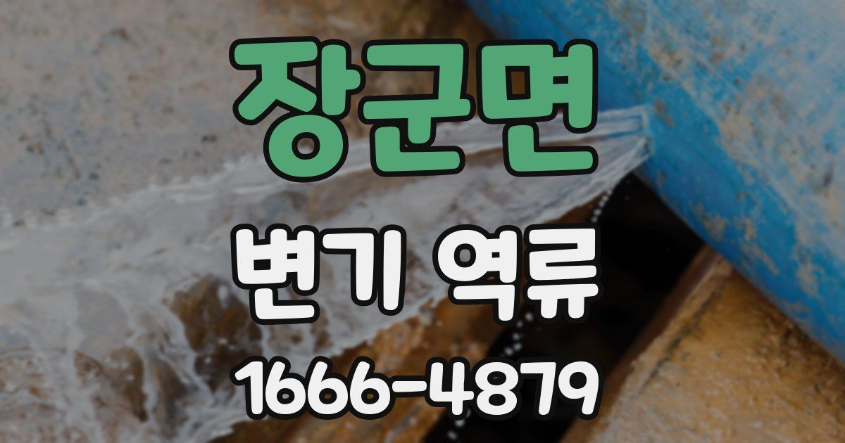 장군면 변기 역류