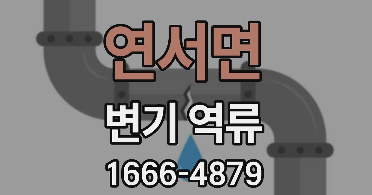 연서면 변기 역류