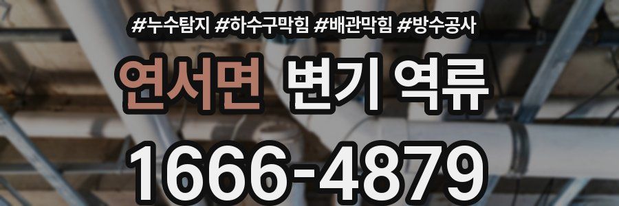 연서면 변기 역류