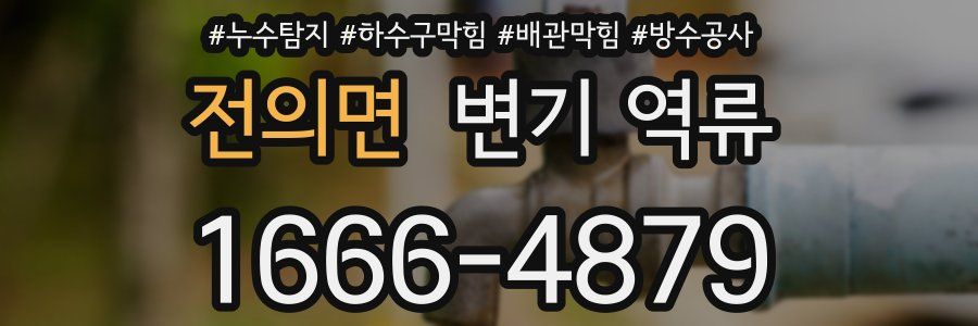 전의면 변기 역류
