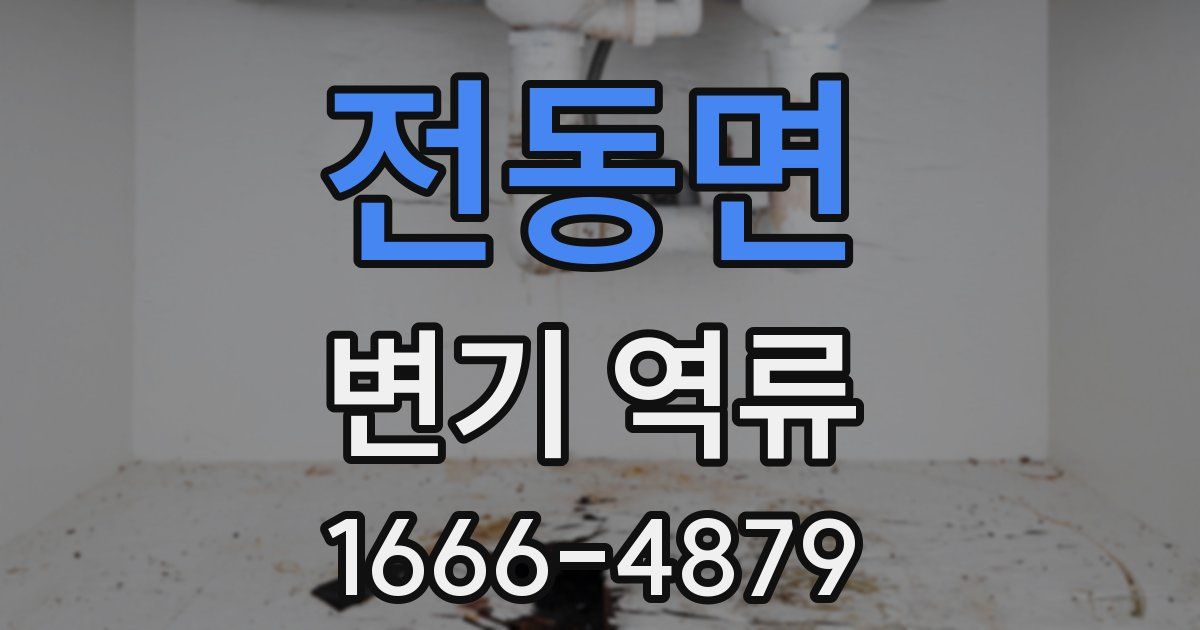 전동면 변기 역류