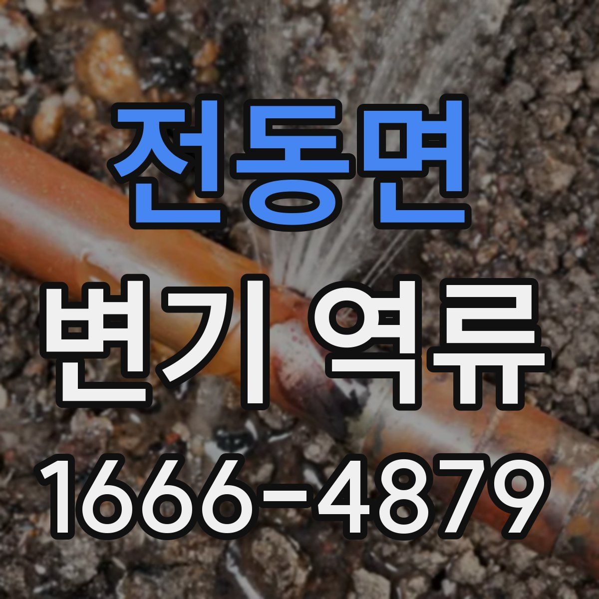 전동면 변기 역류