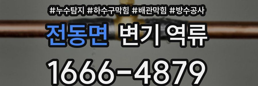 전동면 변기 역류