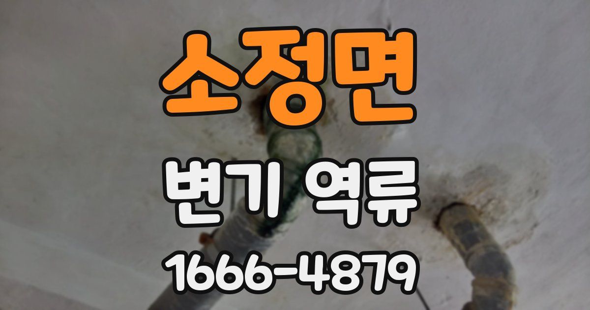 소정면 변기 역류