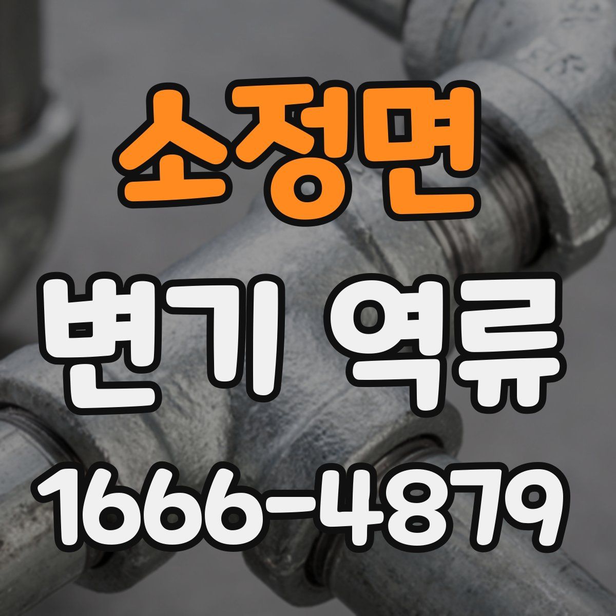 소정면 변기 역류