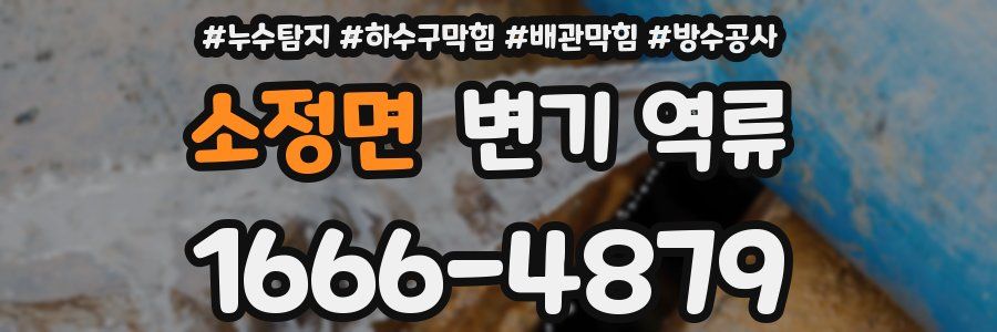 소정면 변기 역류
