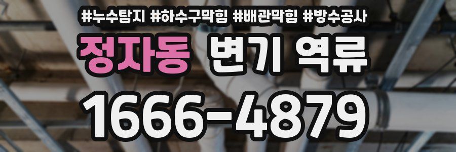 정자동 변기 역류