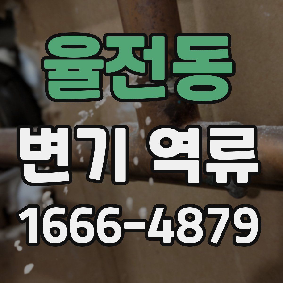 율전동 변기 역류