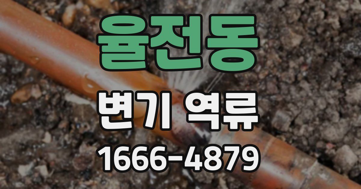 율전동 변기 역류