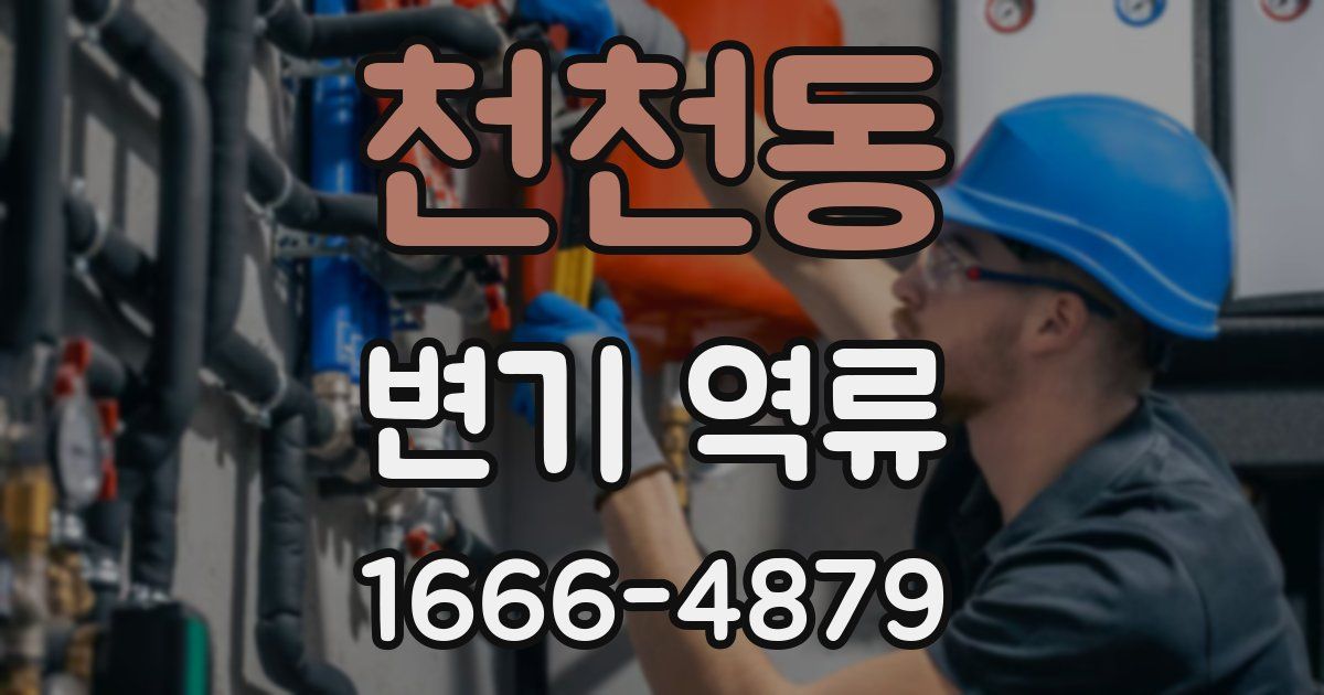 천천동 변기 역류