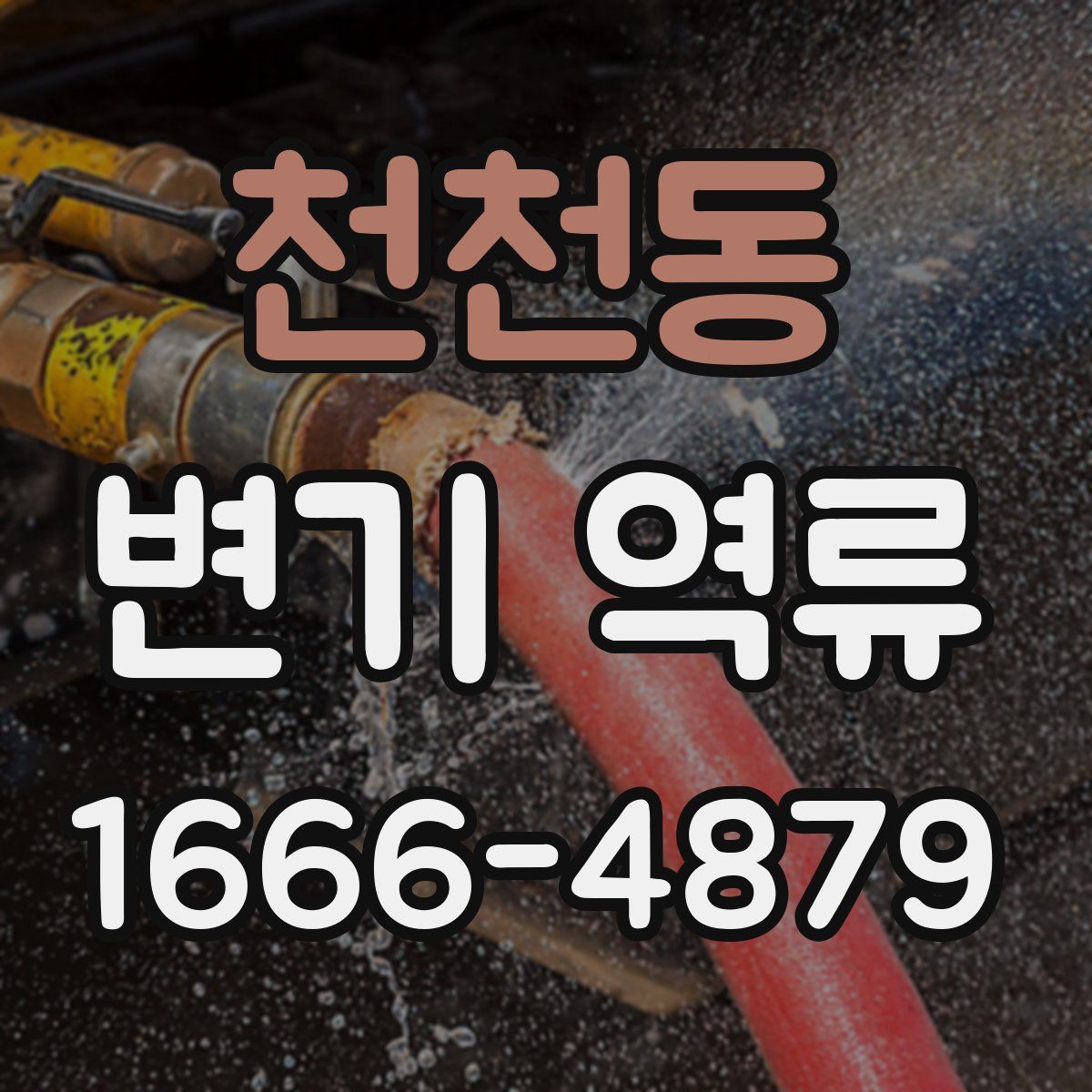 천천동 변기 역류