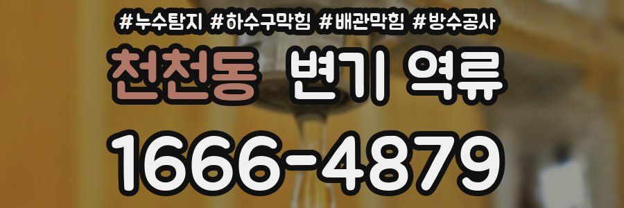 천천동 변기 역류