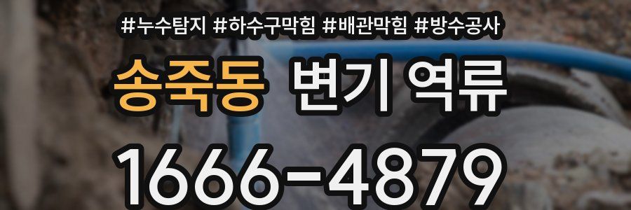 송죽동 변기 역류