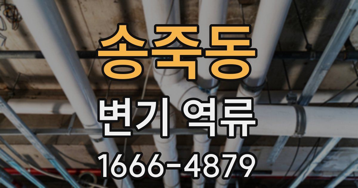 송죽동 변기 역류