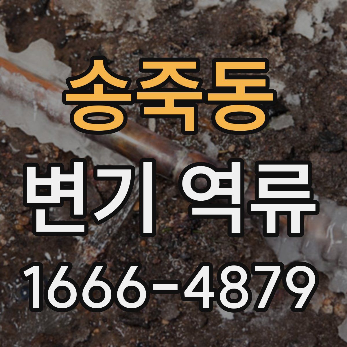 송죽동 변기 역류